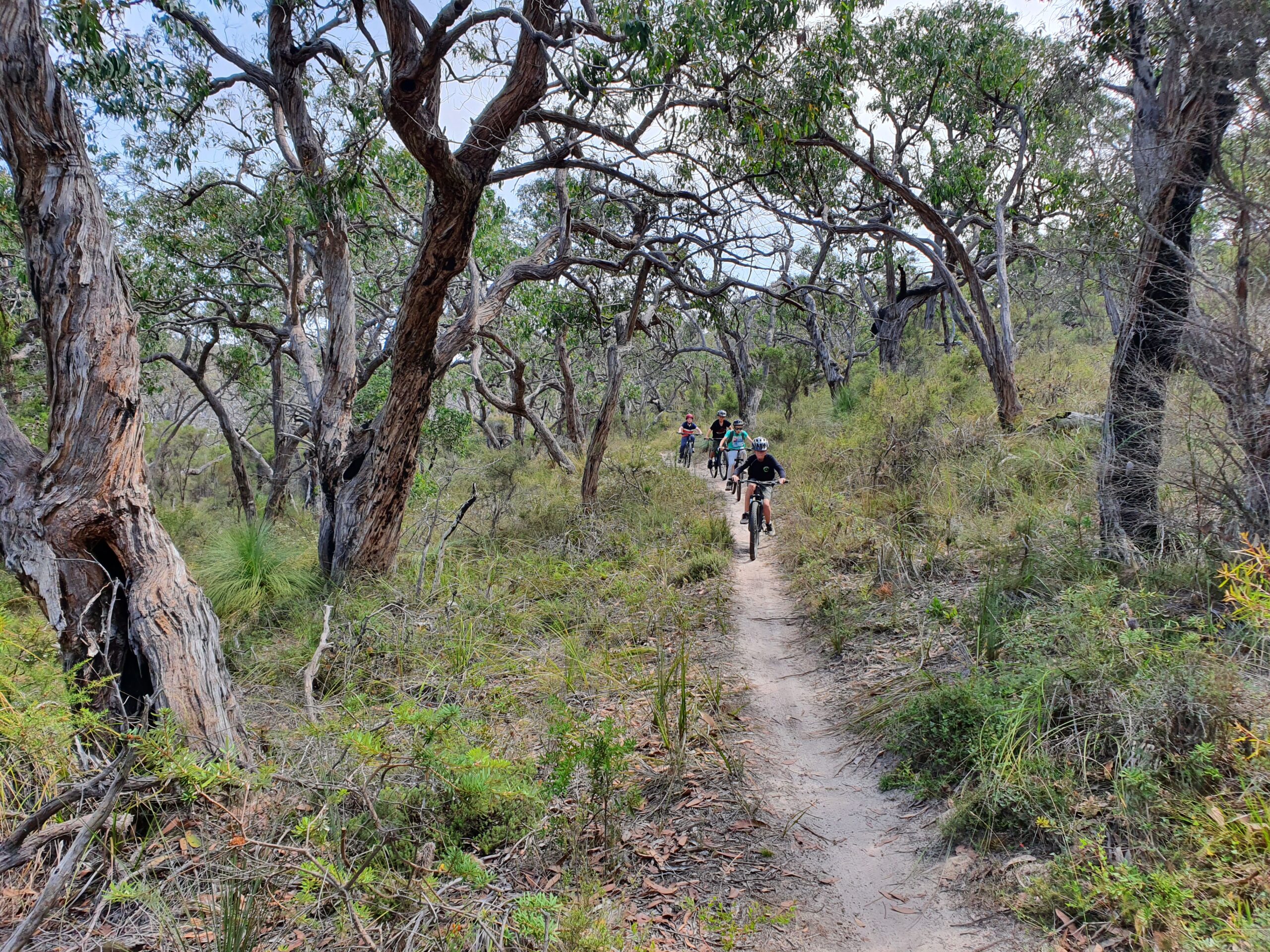 Featured image for “Private MTB Guiding at the You Yangs or Anglesea”