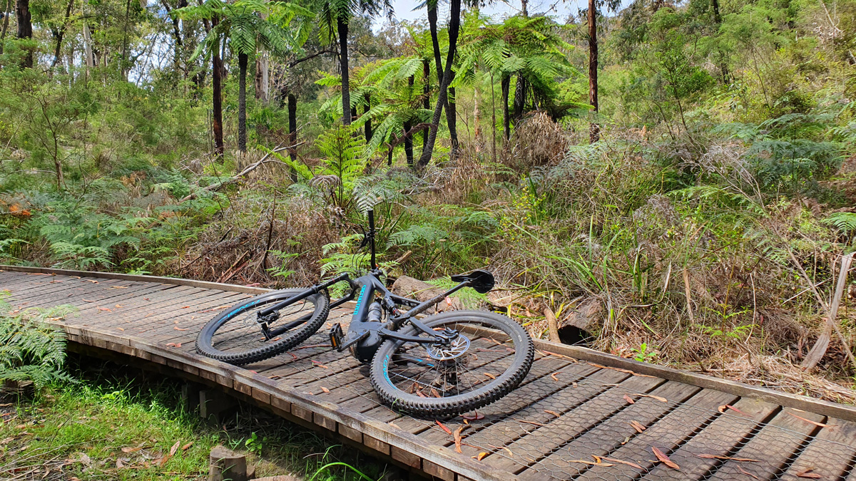 Featured image for “MT Bike Hire: Geelong, Melbourne, You Yangs & Forrest”